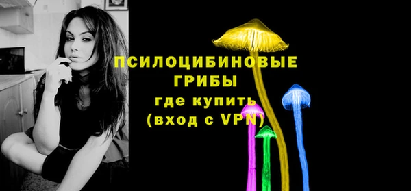 a pvp Пересвет
