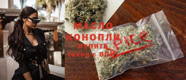 индика Кинешма