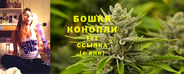 a pvp Пересвет