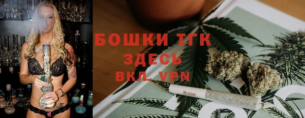 a pvp Пересвет