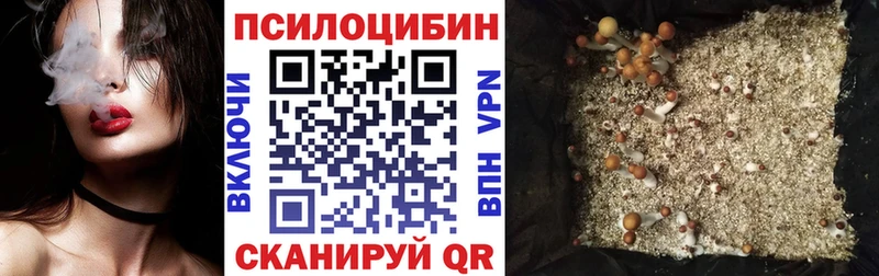 omg ссылки  Сасово  Галлюциногенные грибы Magic Shrooms  купить наркоту 